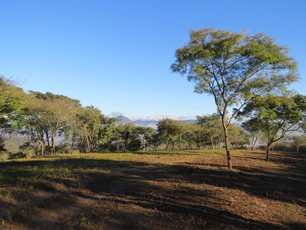 Terreno en Las Cañadas