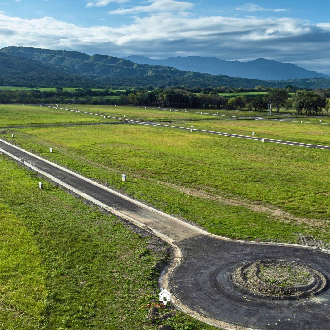 Terreno en La Arbolada 5