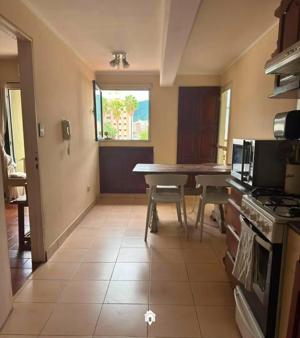Departamento en Zona Centro 3