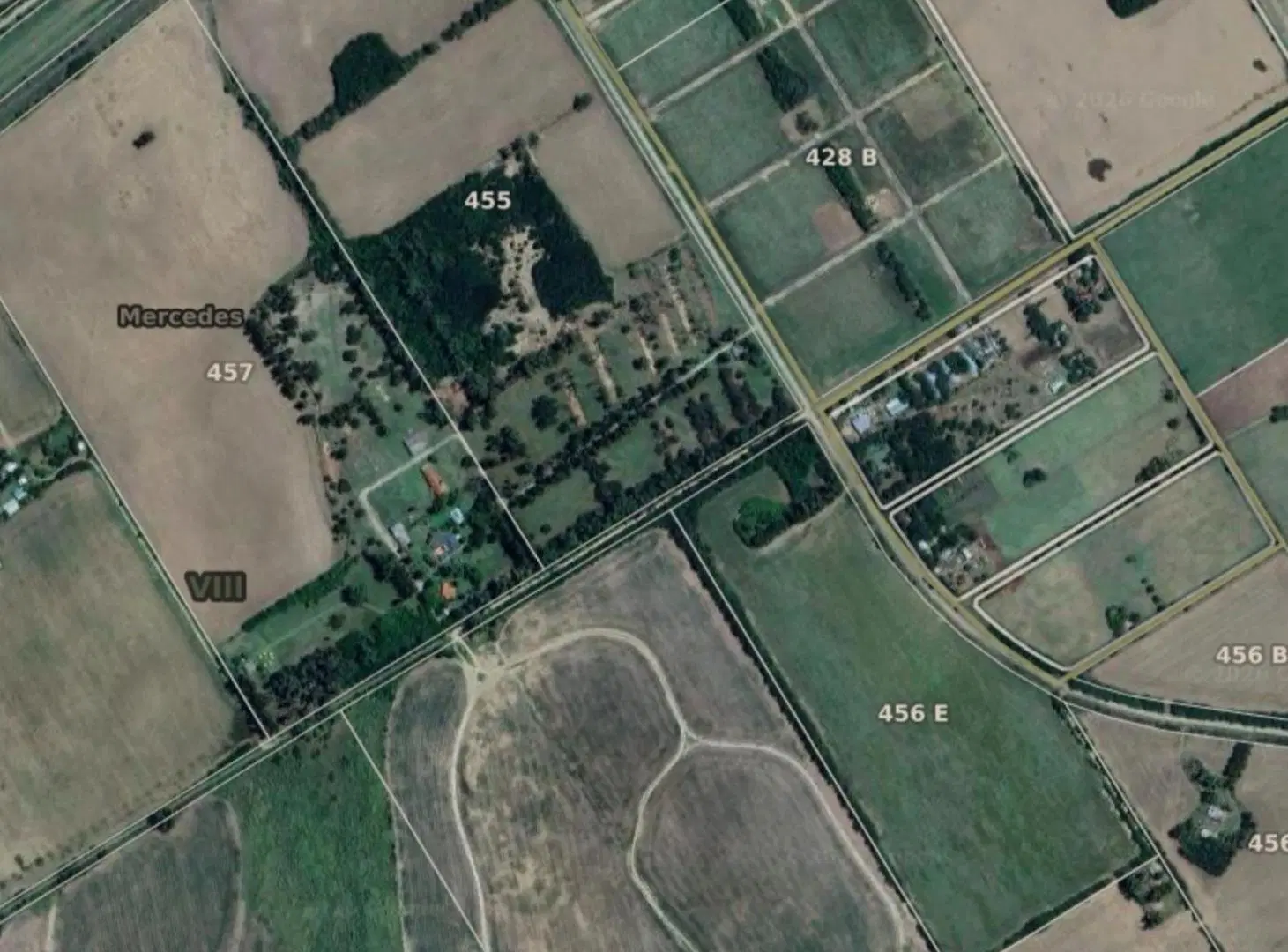 Campo en Gowland 2
