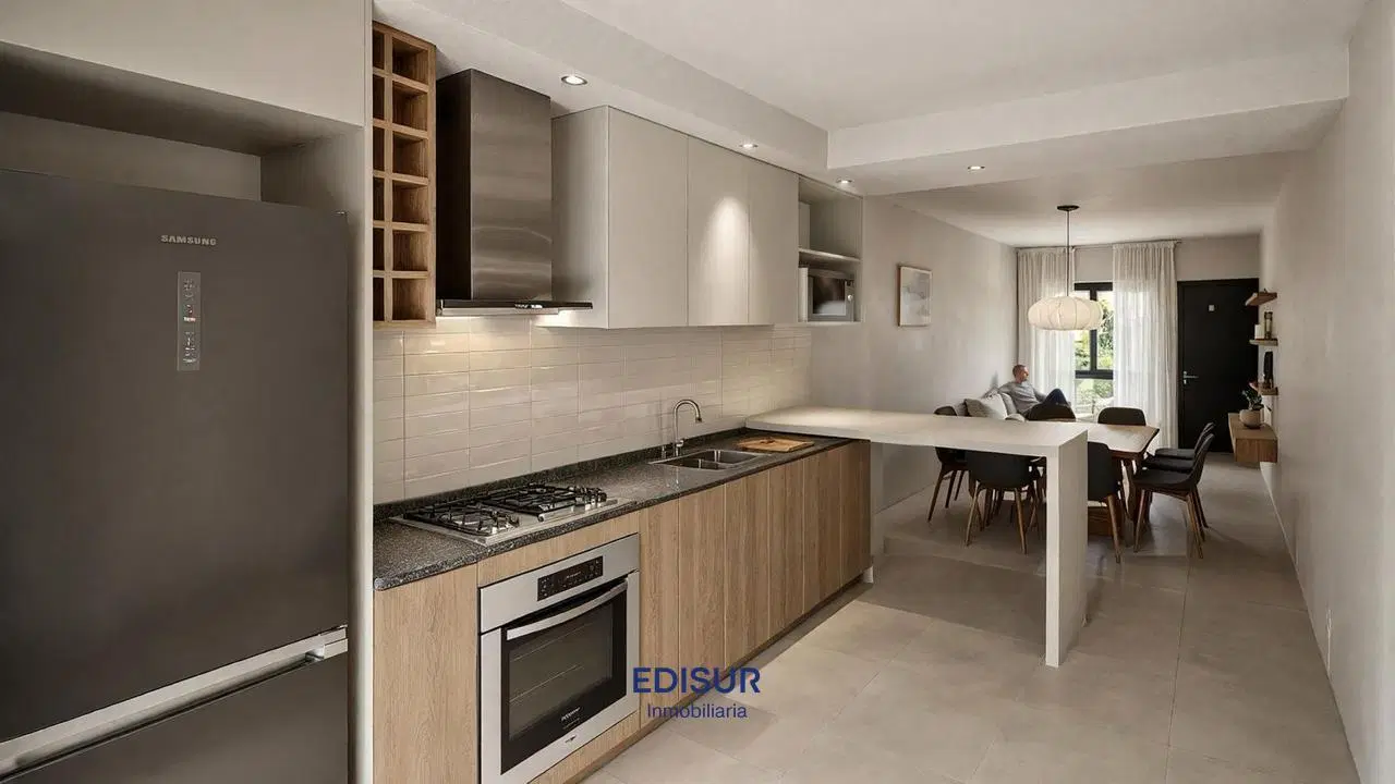 Duplex dos dormitorios en una planta 2