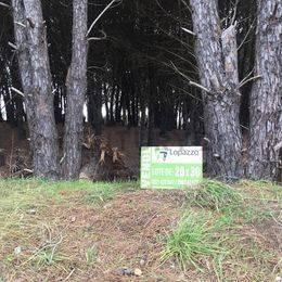 VENDEMOS LOTES DE TERRENO DE 20x30 y 20x40 mts. FRENTE AL GO