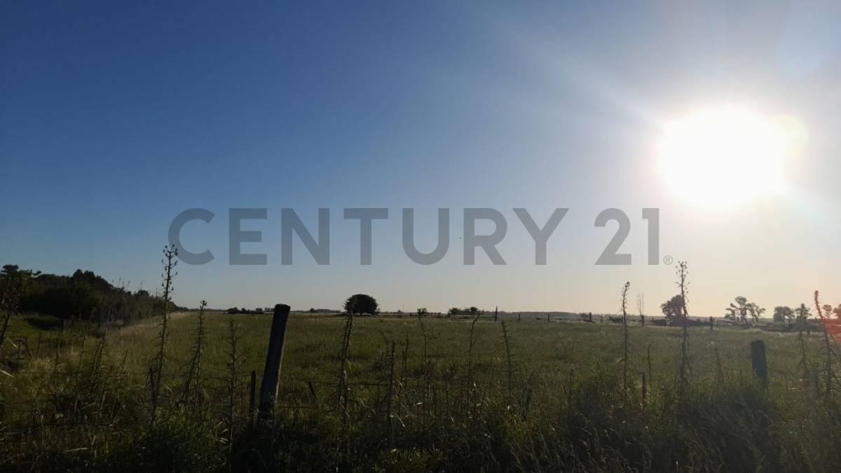 Foto de Venta de Lote en Gómez de la Vega, Brandsen, imagen 2