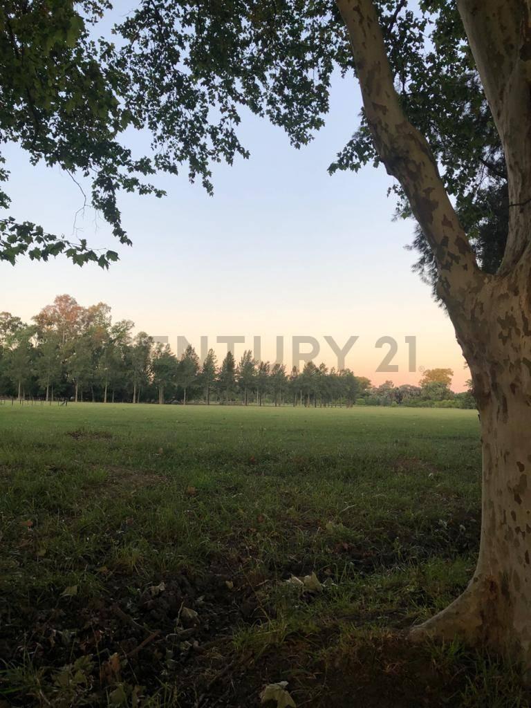 Lotes en Venta en Brandsen 4
