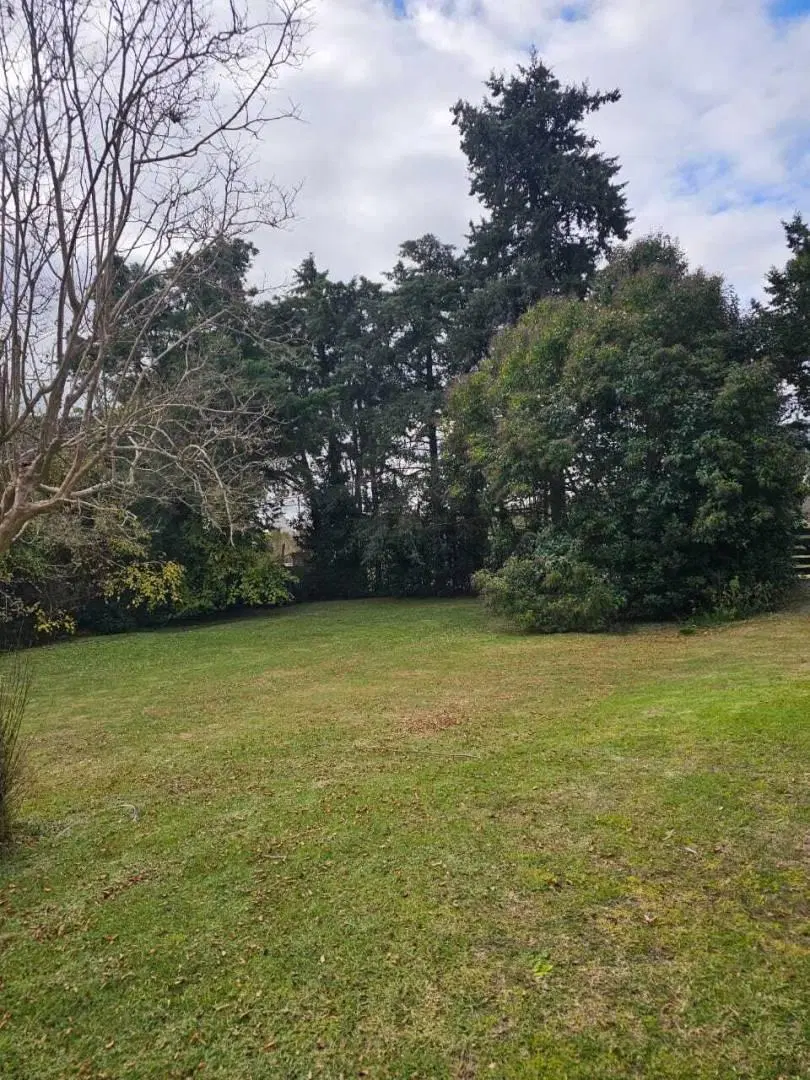 TERRENO EN VENTA EN CORREAS 2