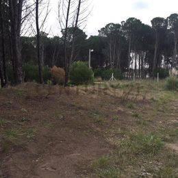 Foto de VENDEMOS LOTES DE TERRENO DE 20x30 y 20x40 mts. FRENTE AL GO, imagen 5