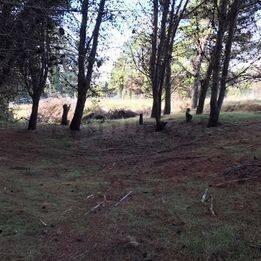 Foto de VENDEMOS LOTES DE TERRENO DE 20x30 y 20x40 mts. FRENTE AL GO, imagen 1