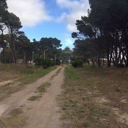 Foto de VENDEMOS LOTES DE TERRENO DE 20x30 y 20x40 mts. FRENTE AL GO, imagen 3