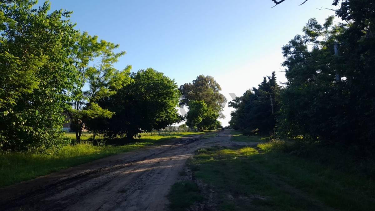 Foto de Lote en Altos Gómez de la Vega, imagen 4