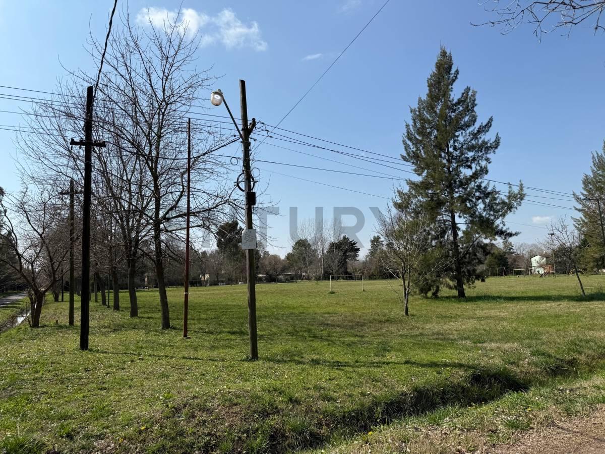 Foto de Lote en Barrio el Rodeo 307 esquina 48, imagen 3
