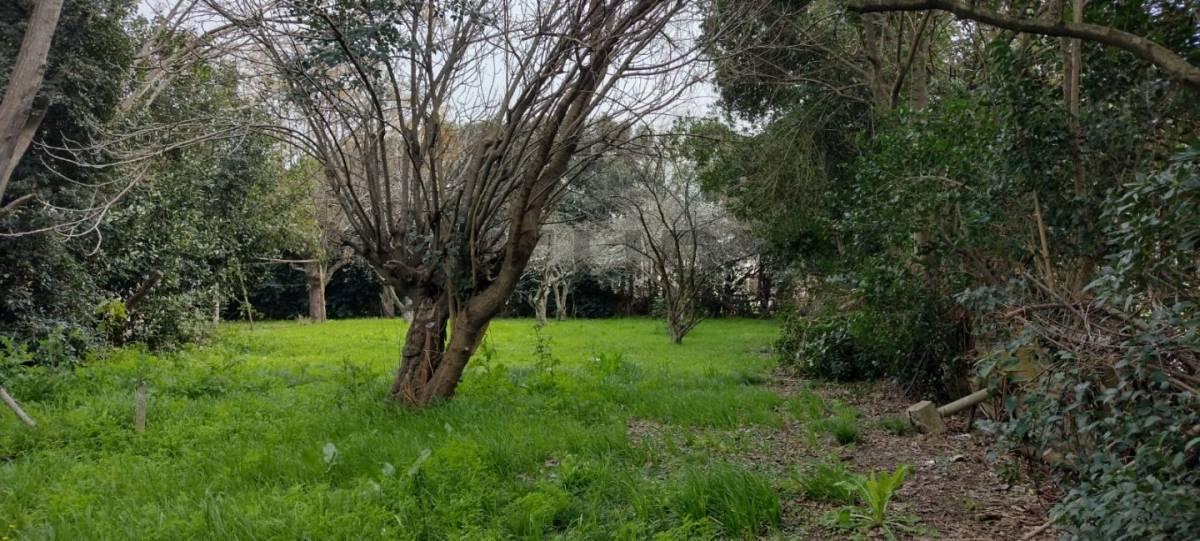 Foto de Lote en venta, imagen 4