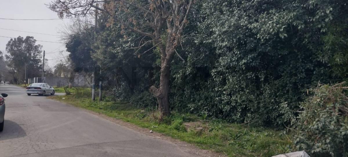 Foto de Lote en venta, imagen 2