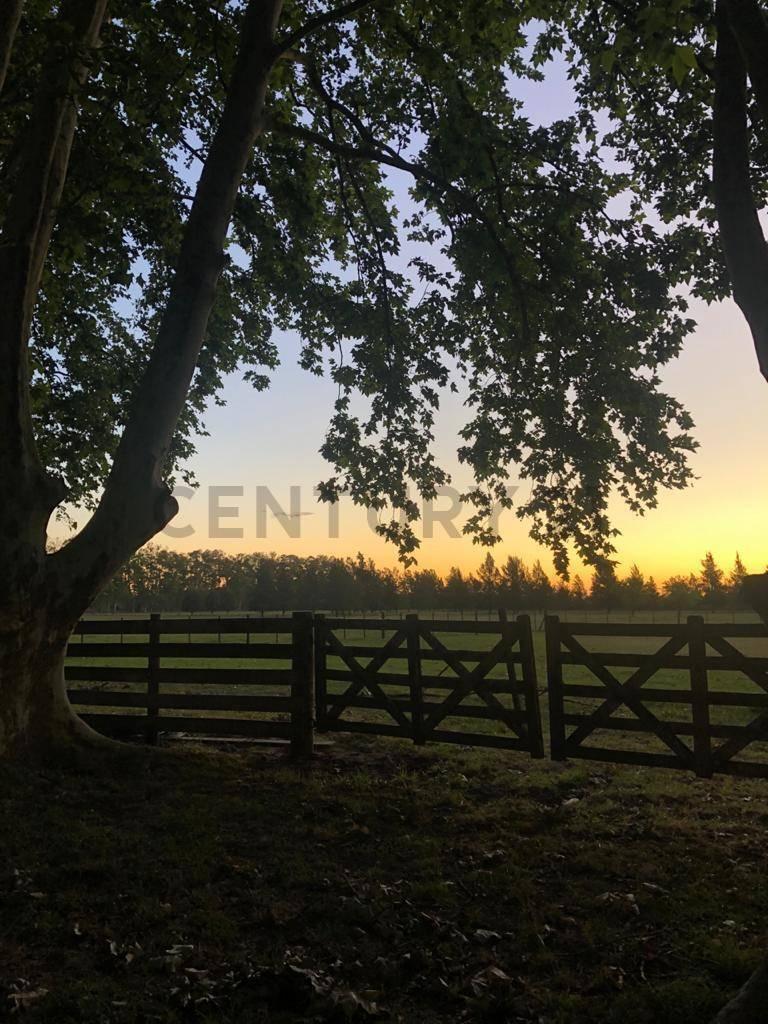 Foto de Lotes en venta en Brandsen, imagen 1