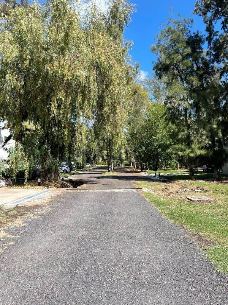 Foto de Lote en barrio cerrado, imagen 3