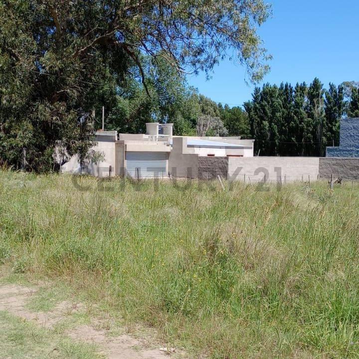 Foto de LOTE EN VENTA EN NECOCHEA, imagen 2