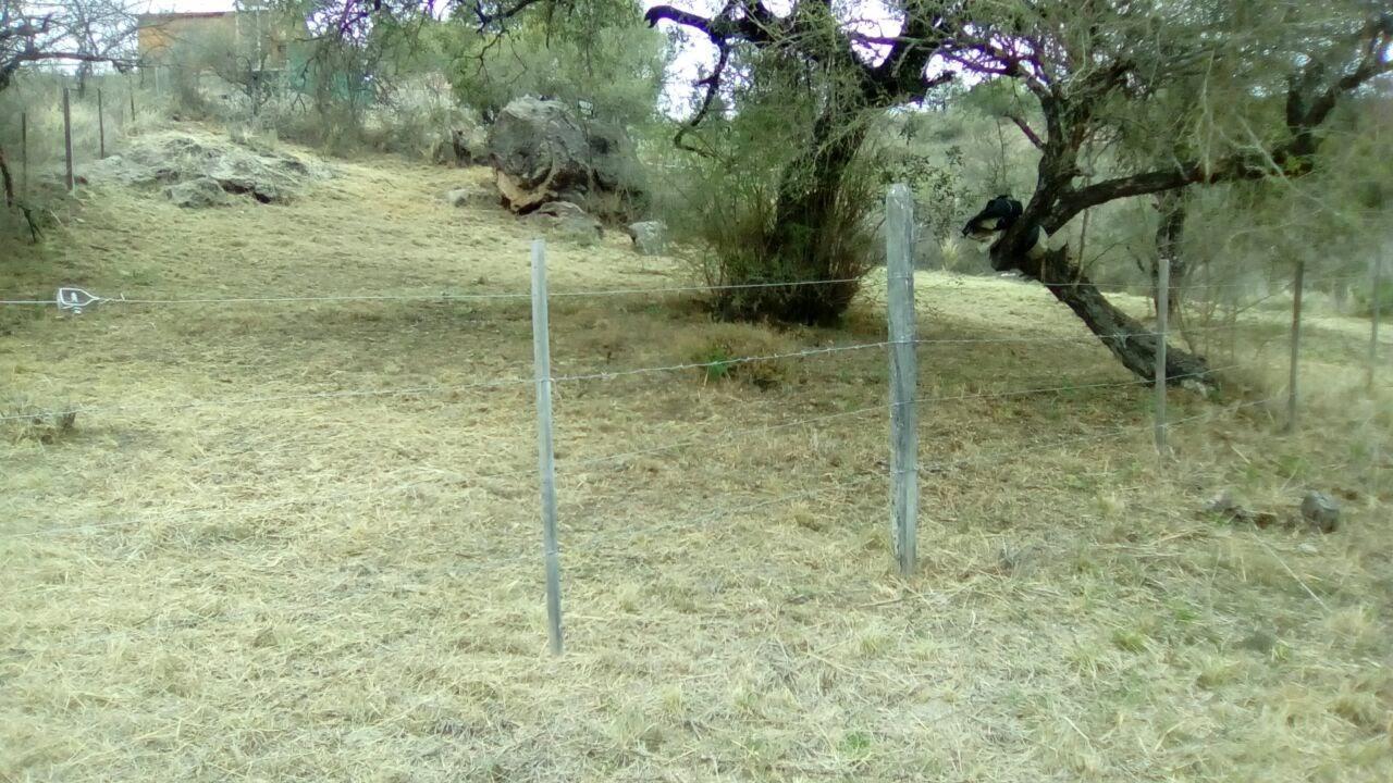 Foto de Terreno en estancia vieja, imagen 1