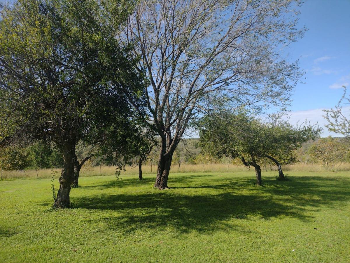 Vendo Lotes de 1000 m C Excel Vista Al Lago - D. Posesorios - Servicios en Puerta 2