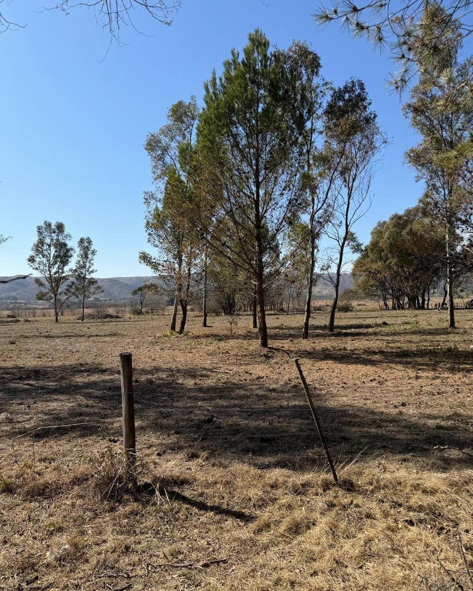 Excelente Oportunidad - Lote de 1 Ha con Vista Al Lago Los Molinos - Punto Claro 2
