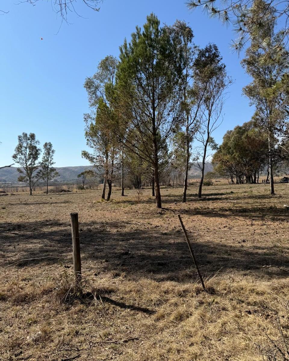 Excelente Oportunidad - Lote de 1 Ha con Vista Al Lago Los Molinos - Punto Claro 4