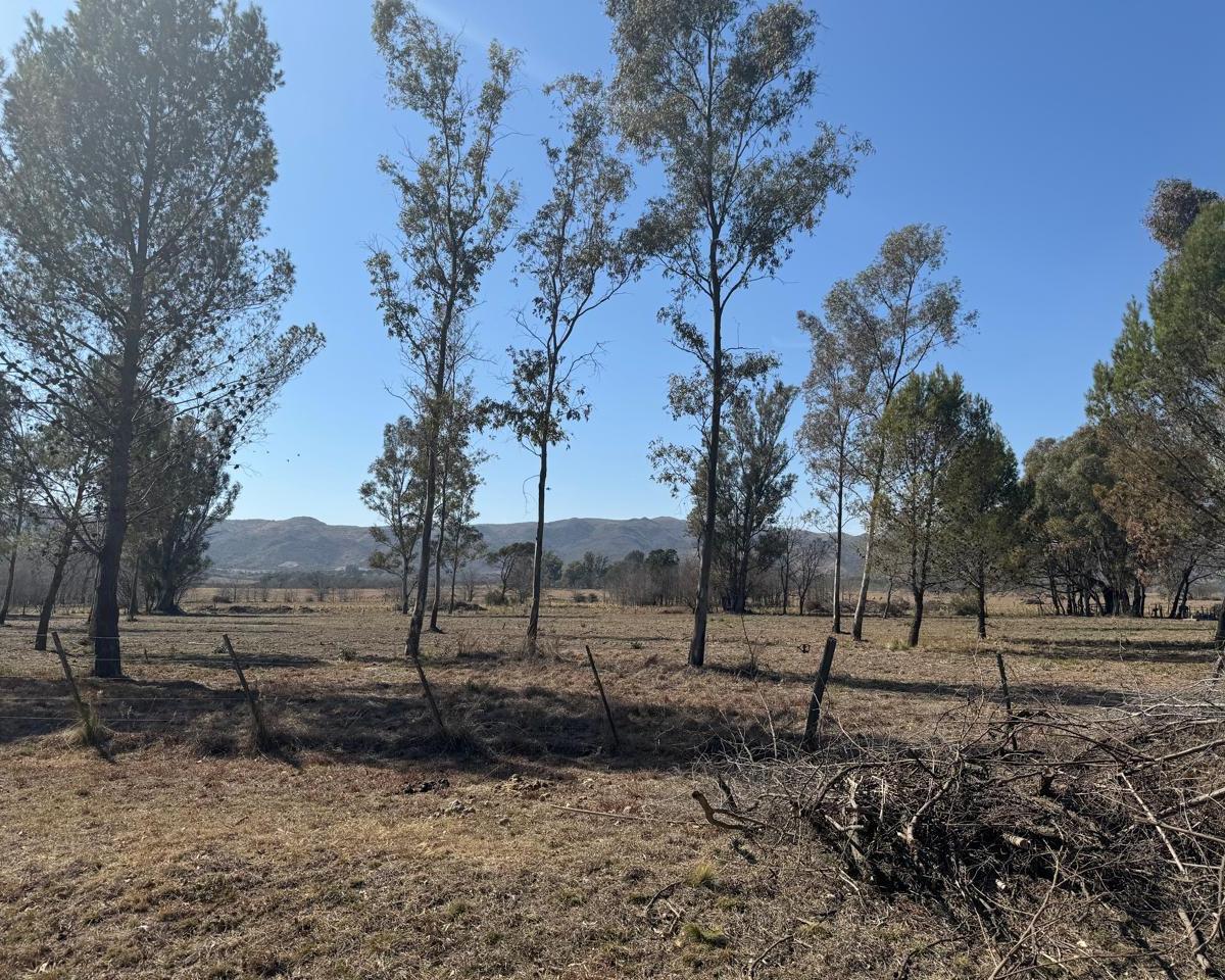 Excelente Oportunidad - Lote de 1 Ha con Vista Al Lago Los Molinos - Punto Claro 5