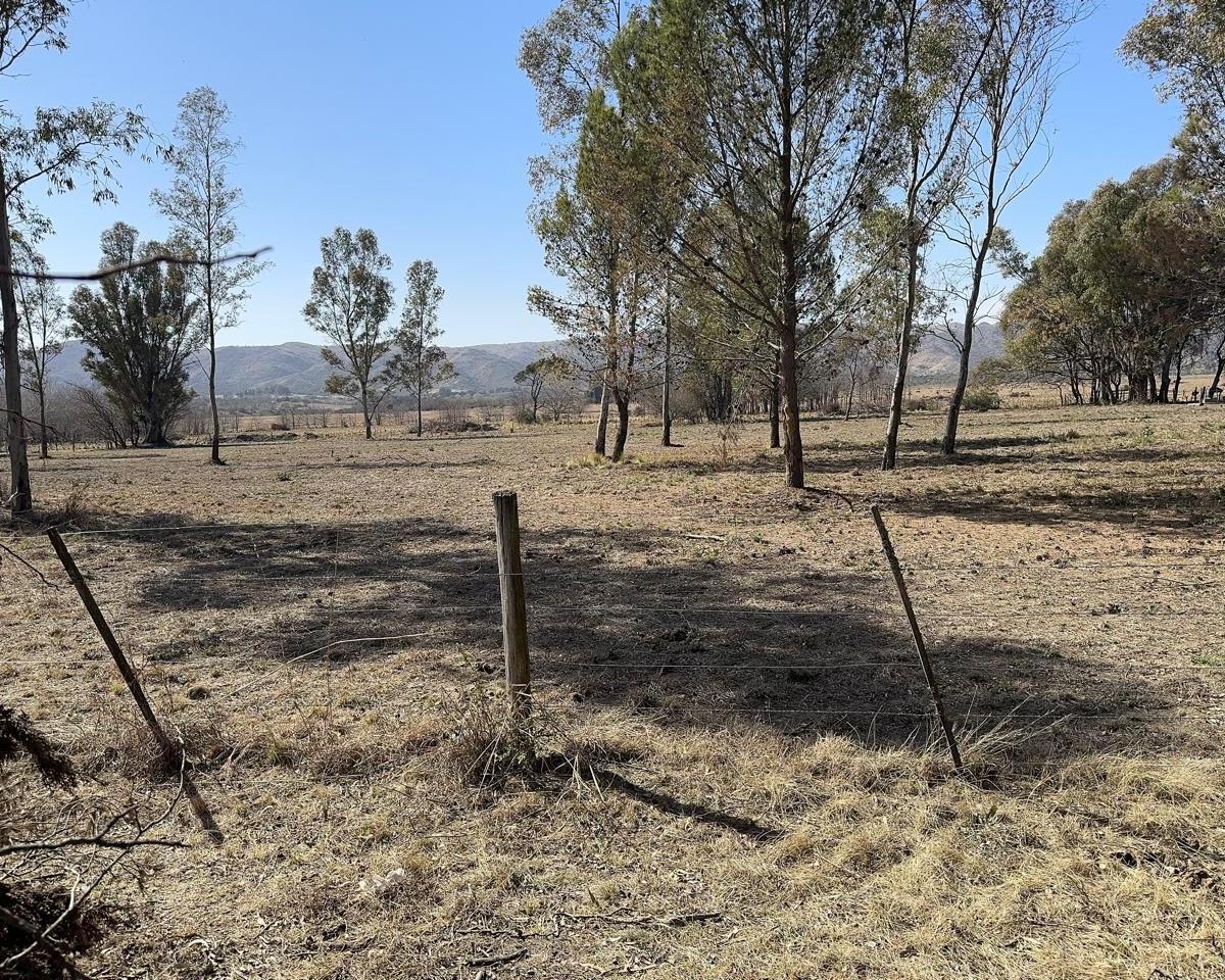 Excelente Oportunidad - Lote de 1 Ha con Vista Al Lago Los Molinos - Punto Claro 1