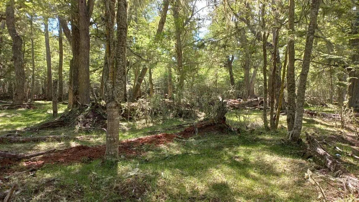 LOTE EN VENTA - TOLHUIN 2