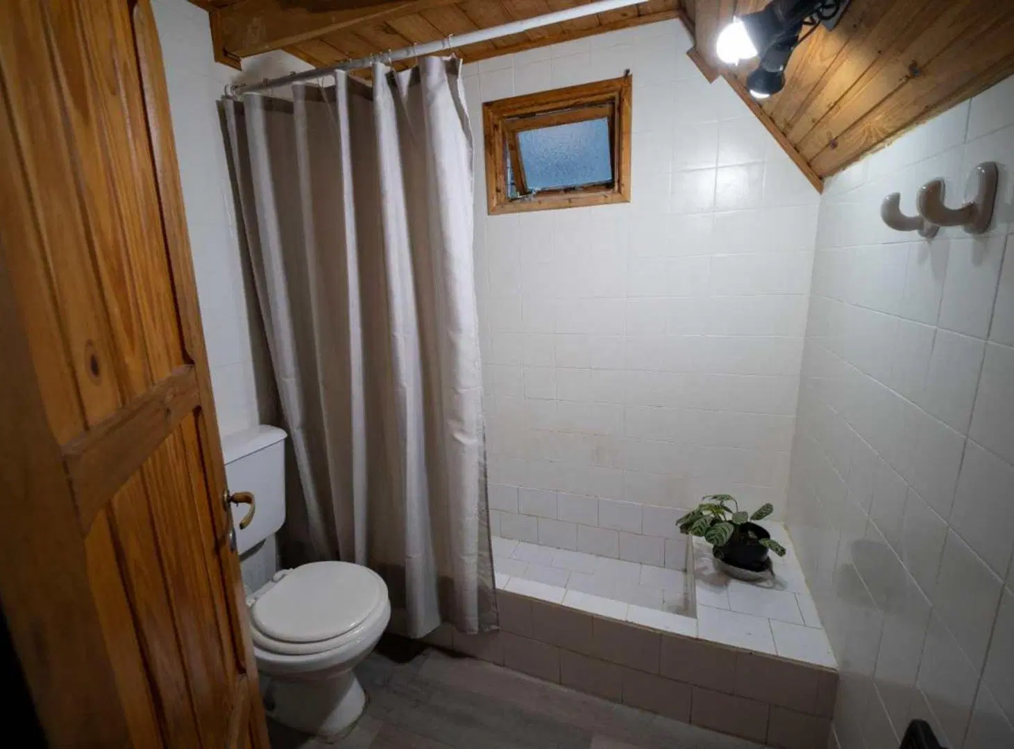 VENTA DE CASA TIPO CABAÑA + MONOAMBIENTE 5
