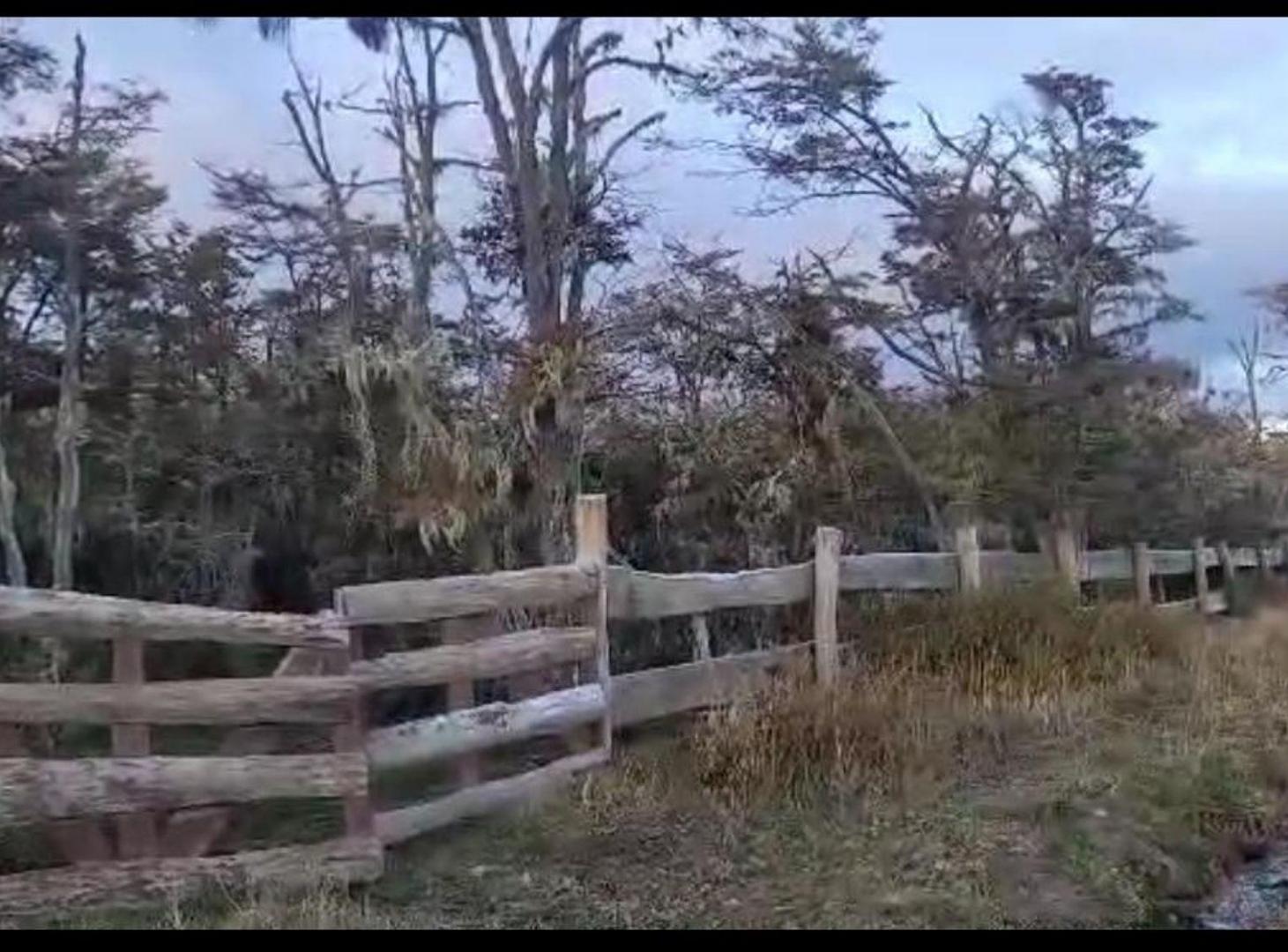 TERRENO EN VENTA EN TOLHUIN