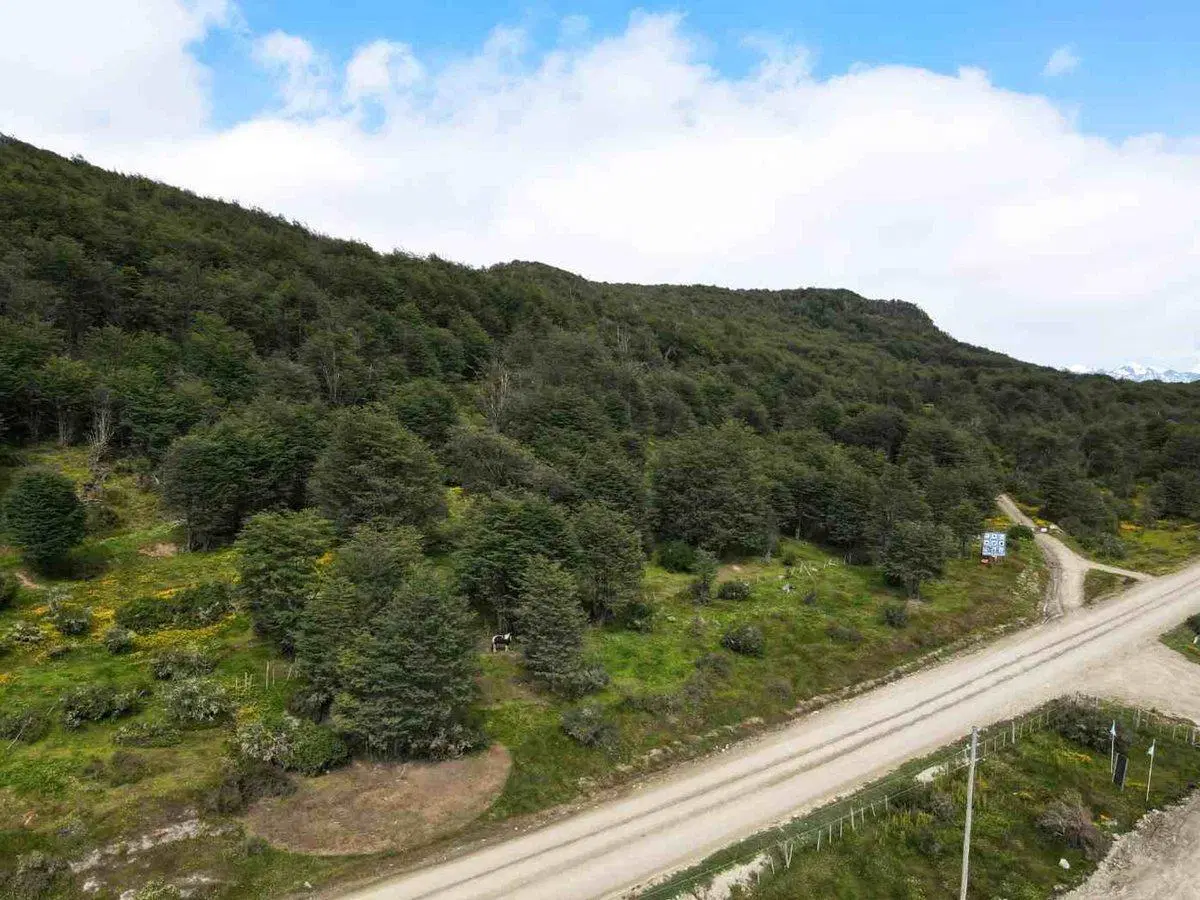 Hectárea Estratégica Ruta 3 5