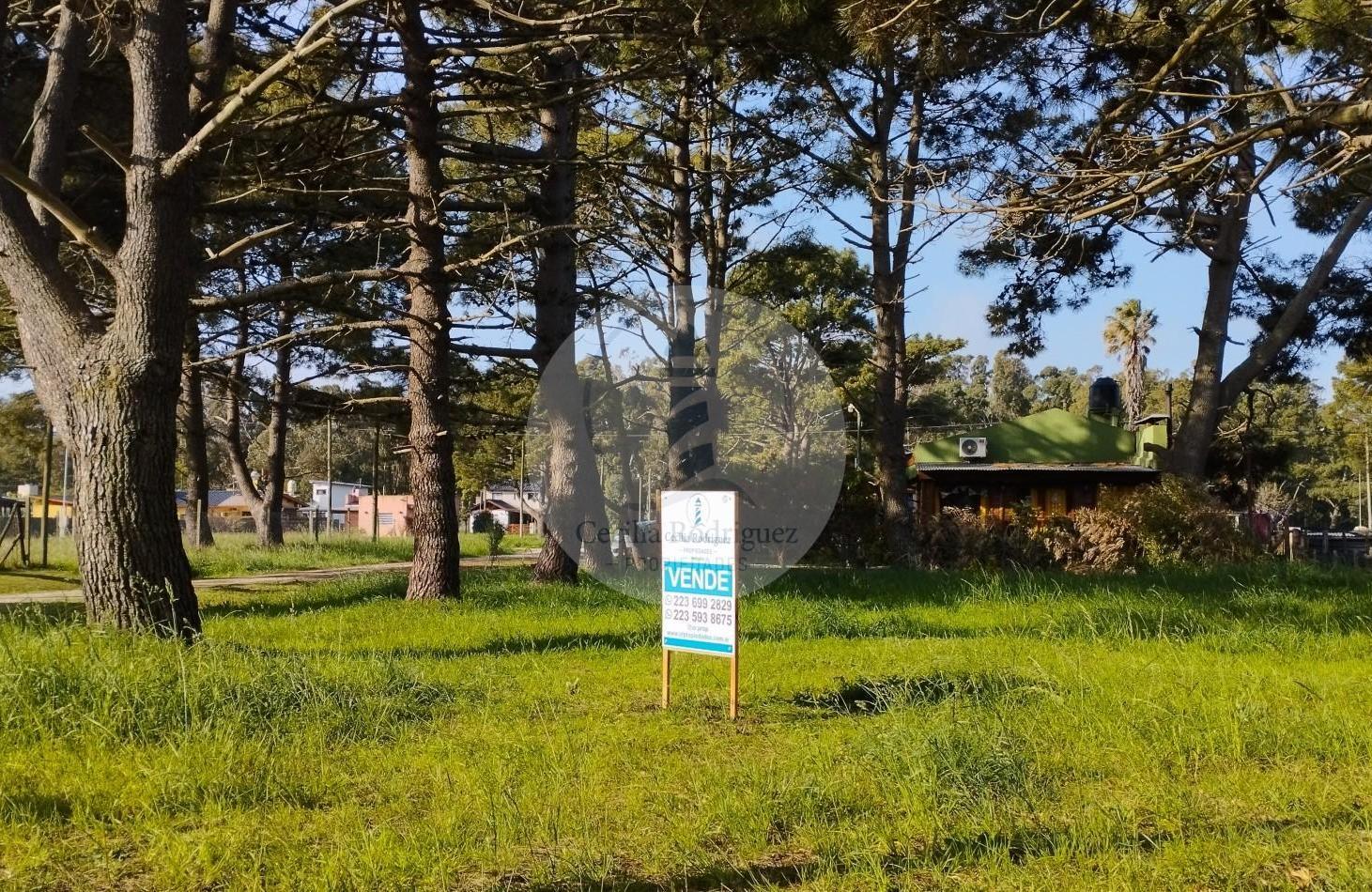 Foto de LOTE EN ESQUINA - LA CALETA, imagen 2