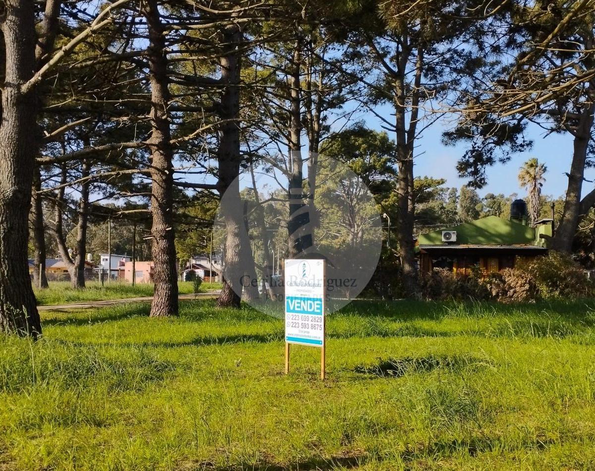 Foto de LOTE EN ESQUINA - LA CALETA, imagen 3