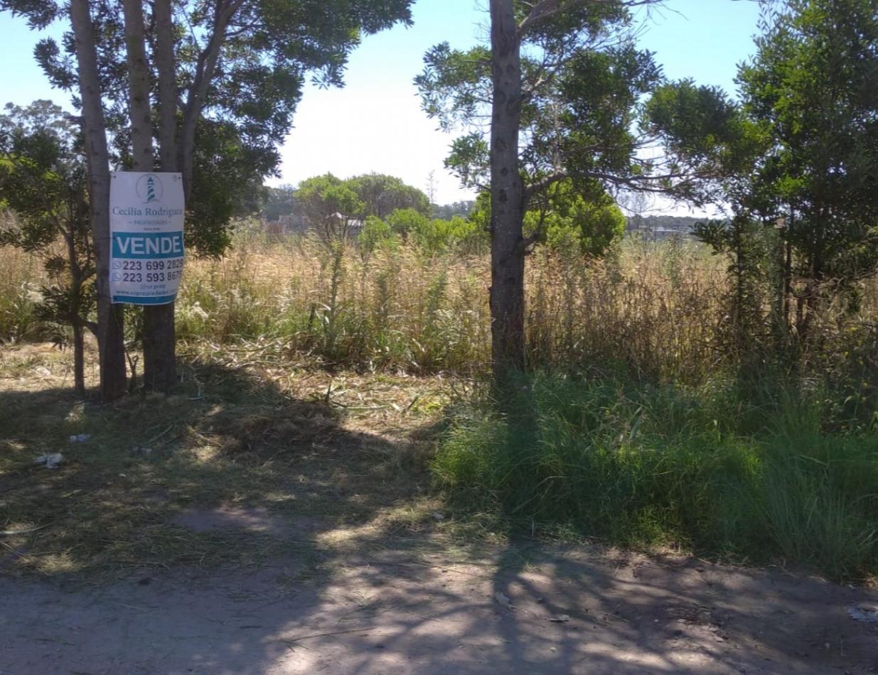 Foto de Lote en venta de 16 x 24mts - Barrio Los Acantilados - Mar Del Plata, imagen 3