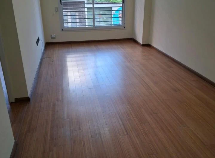 Departamento céntrico con patio 2