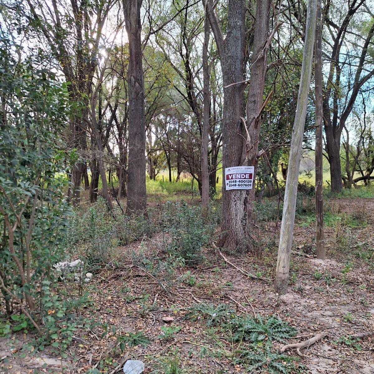 Terreno / Lote en Venta de 800 m² Ubicado en Casa Grande 1