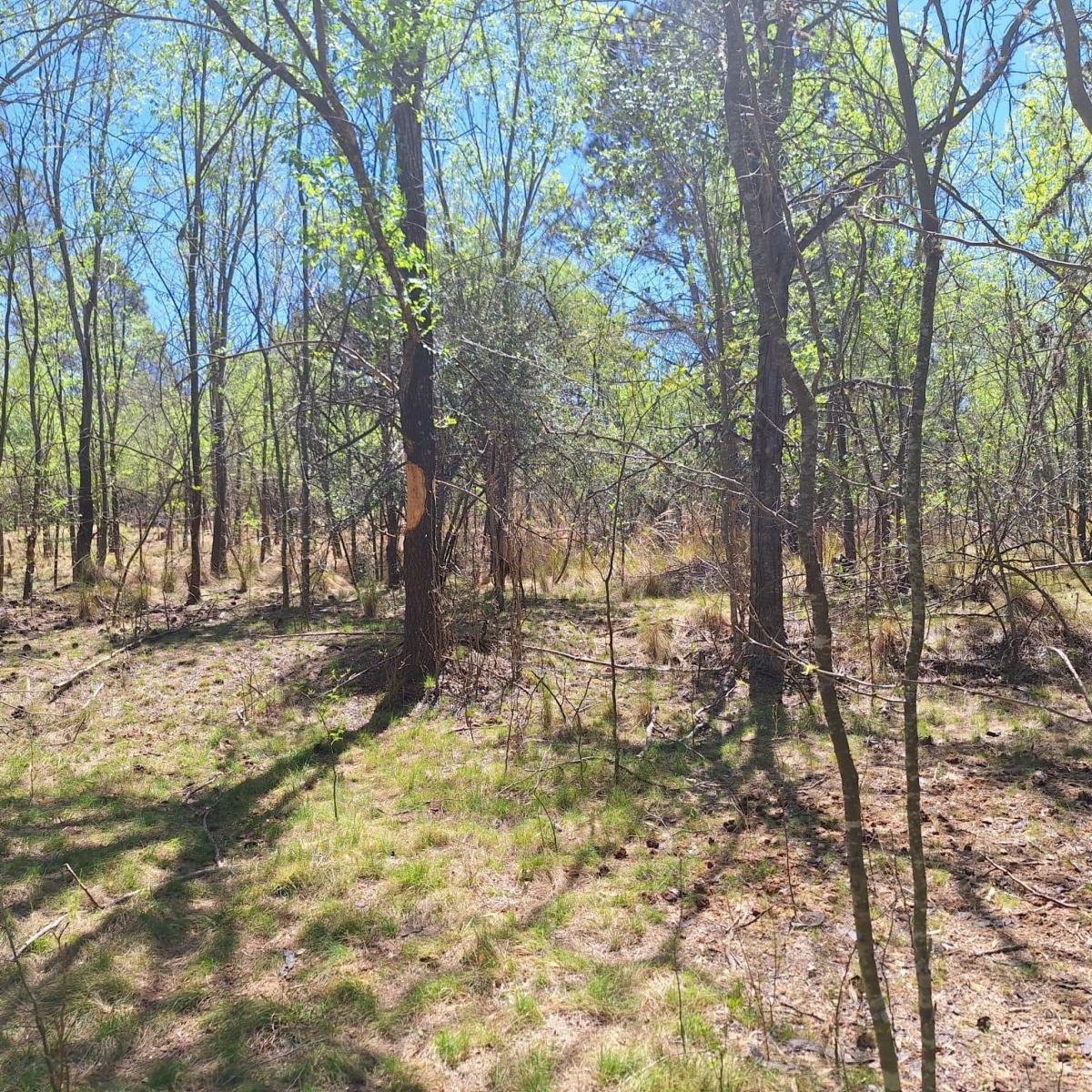 Terreno / Lote en Venta de 800 m² Ubicado en Casa Grande 2