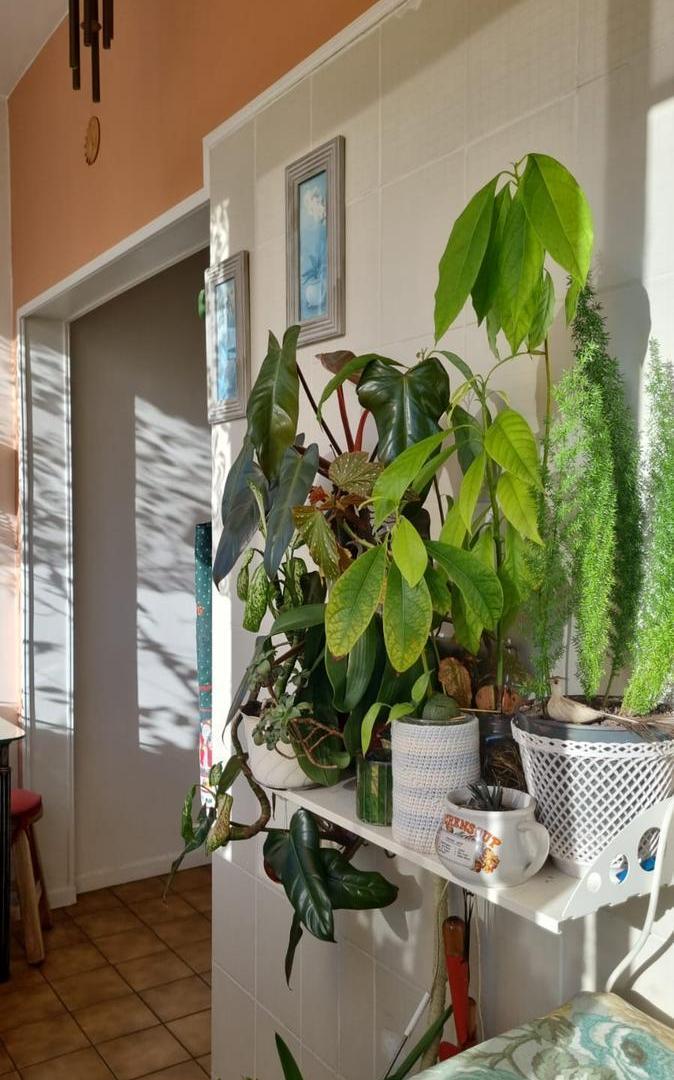 Foto de Departamento en venta de 3 ambientes en Caballito - Av Acoyte 143, imagen 4