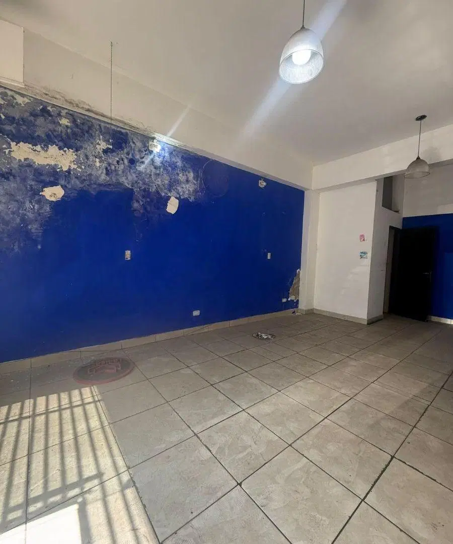 ALQUILER LOCAL COMERCIAL 35M2 EN RAFAEL CASTILLO 5