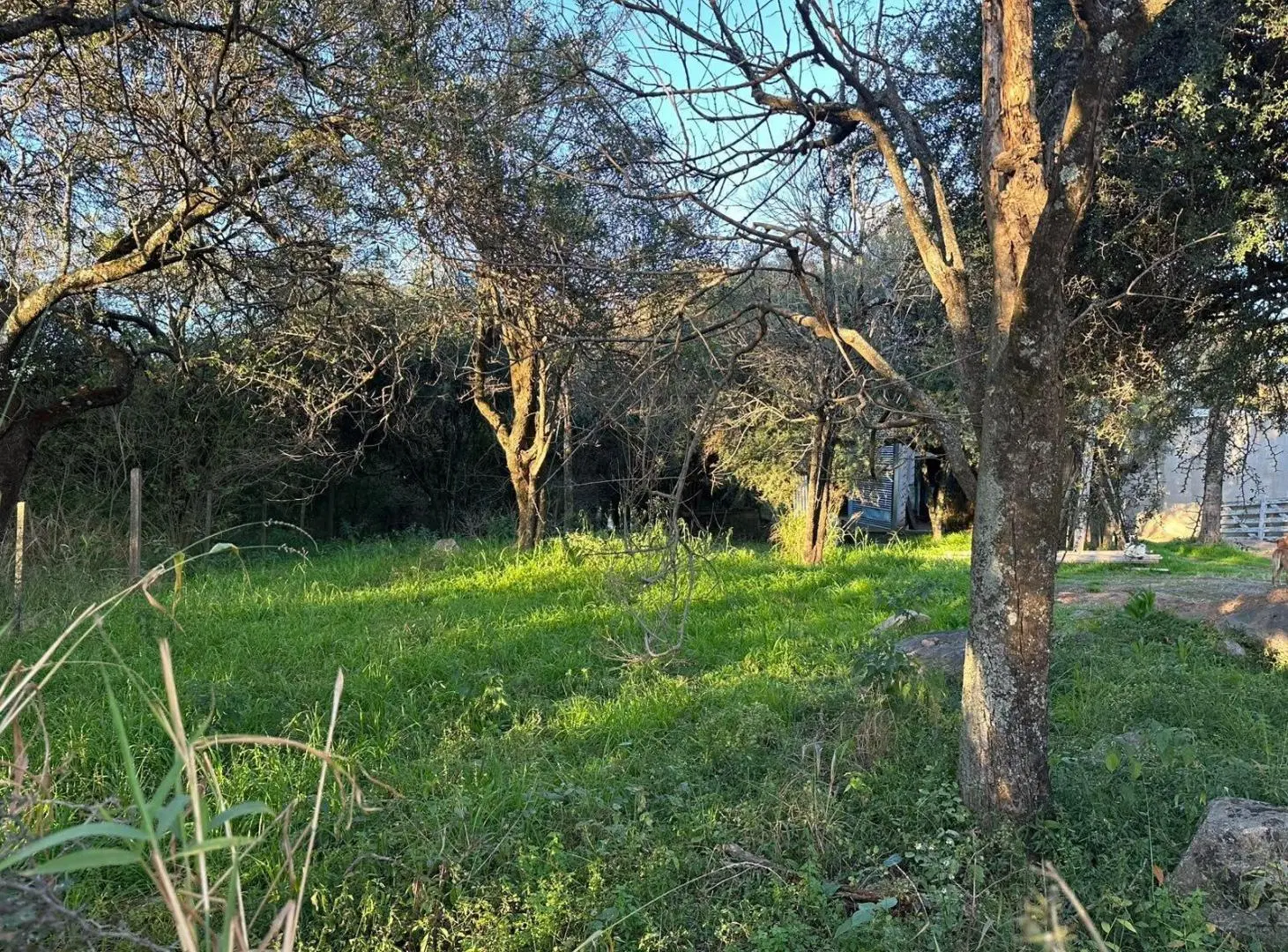 Vendo lote sobre el camino del cuadrado 3