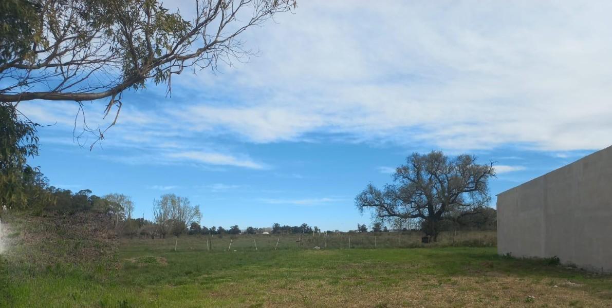 Foto de Terreno en venta en Verónica, imagen 1