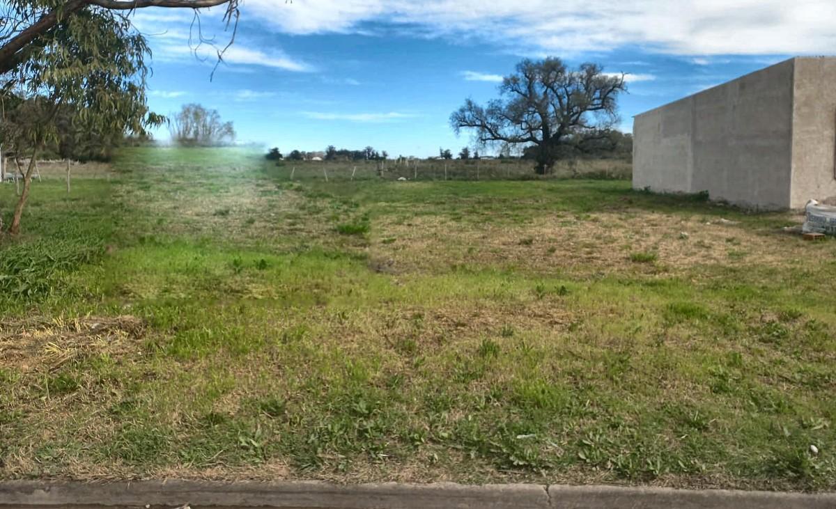 Foto de Terreno en venta en Verónica, imagen 2
