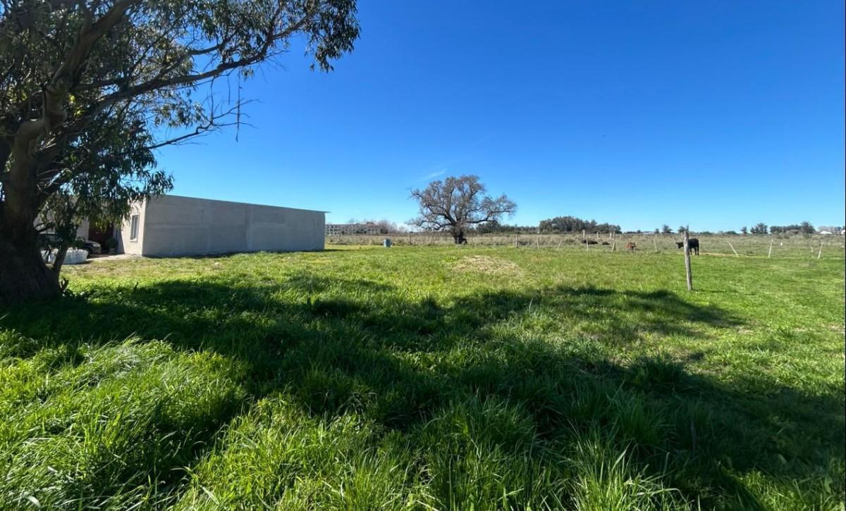 Foto de Terreno en venta en Verónica, imagen 3