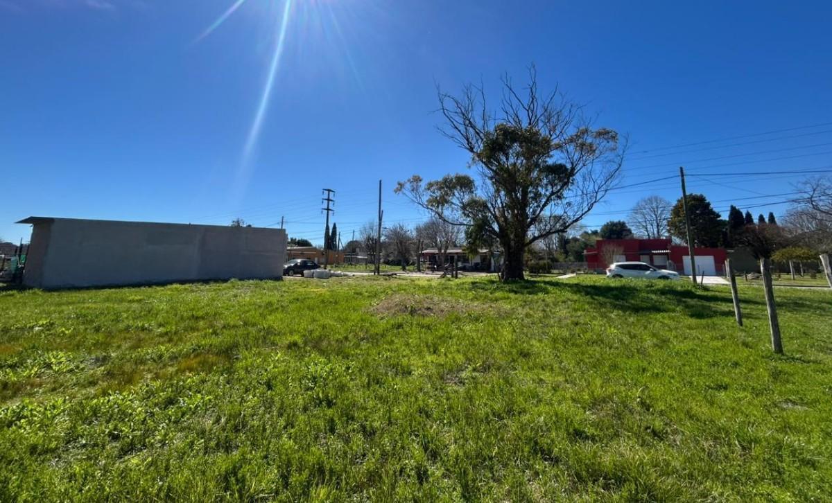 Foto de Terreno en venta en Verónica, imagen 5