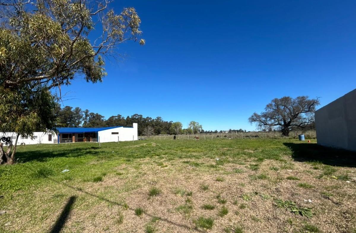 Foto de Terreno en venta en Verónica, imagen 4