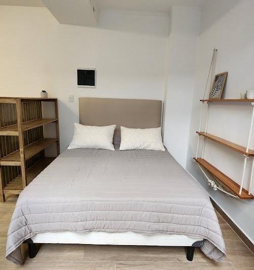 Departamento en Recoleta 5