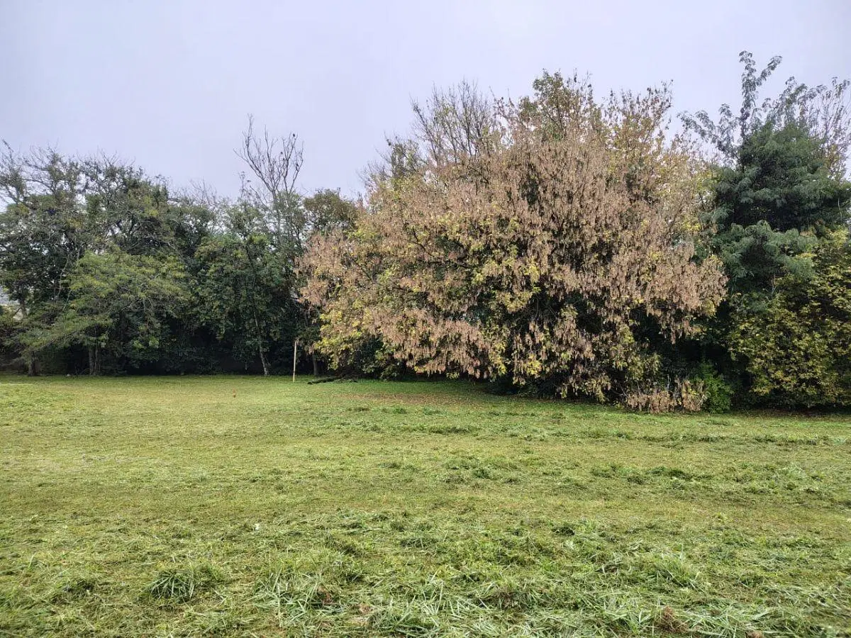RIO CEBALLOS - EXCELENTE LOTE PLANO PROXIMO AV SAN MARTIN 5