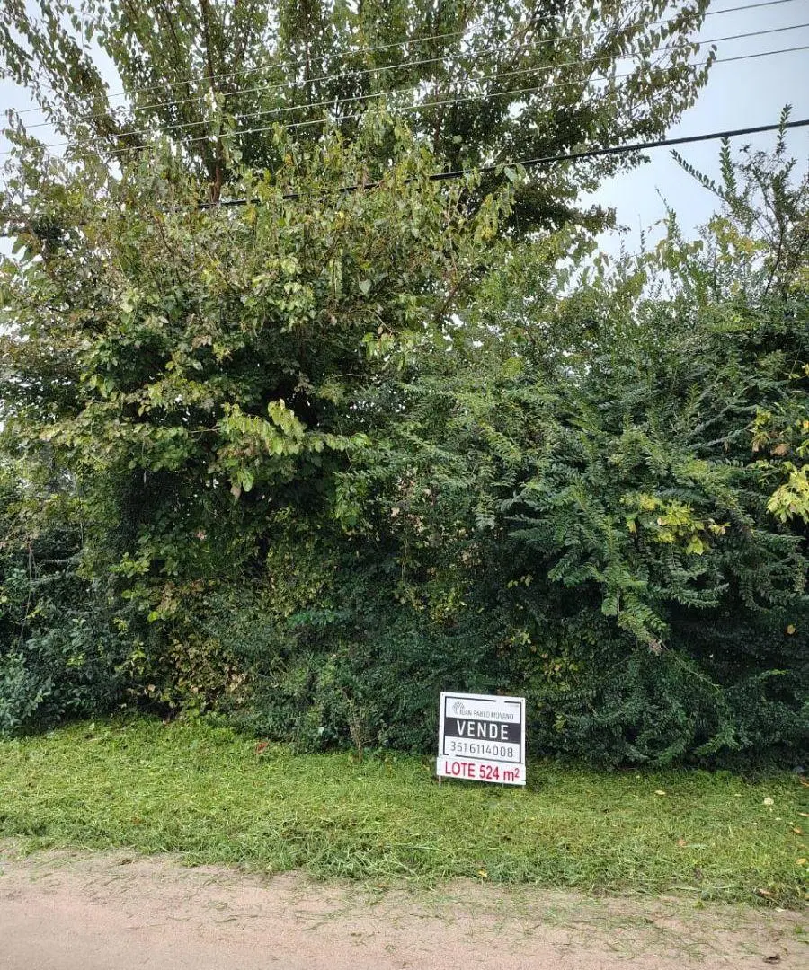 RIO CEBALLOS - EXCELENTE LOTE PLANO PROXIMO AV SAN MARTIN 3