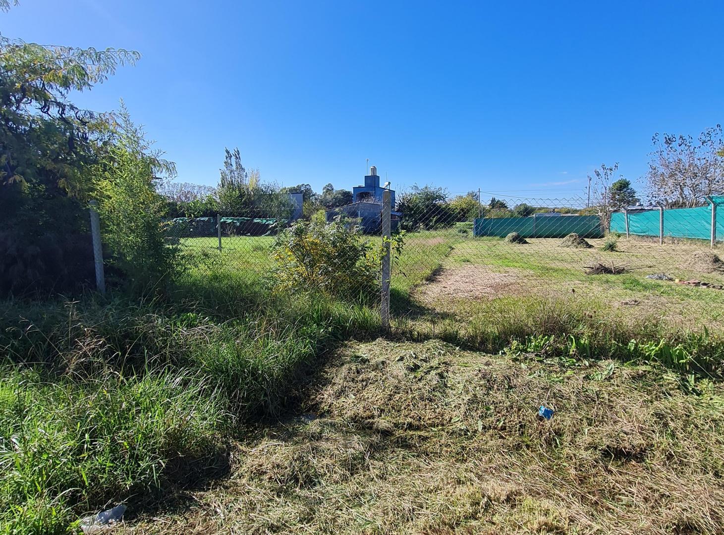 terreno en venta 442 entre 137 y 138