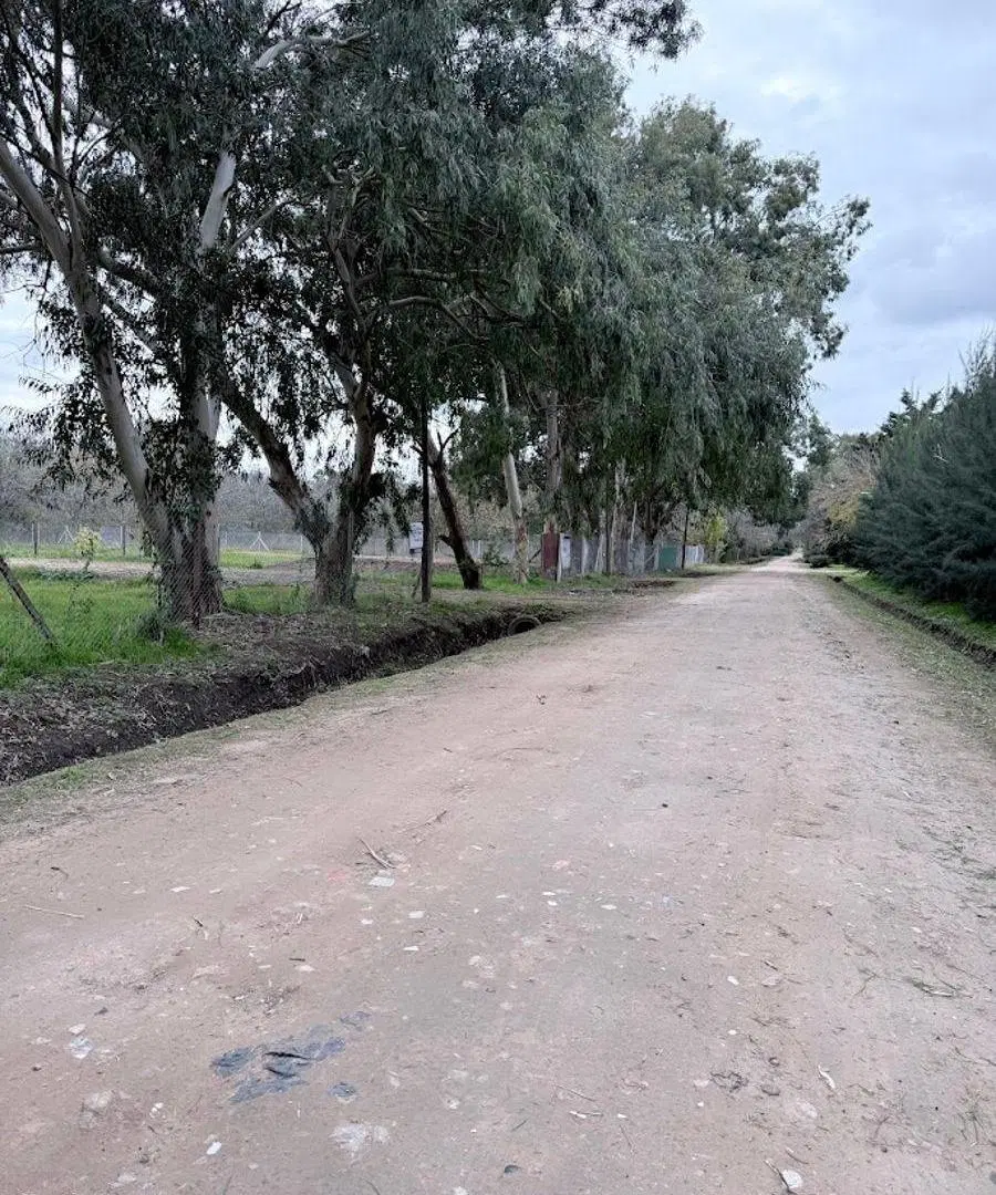 TERRENO EN ARANA 646 ENTRE 20 Y 22 2