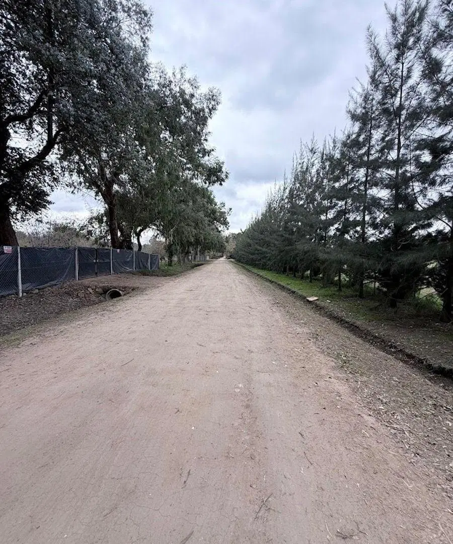 TERRENO EN ARANA 646 ENTRE 20 Y 22 5