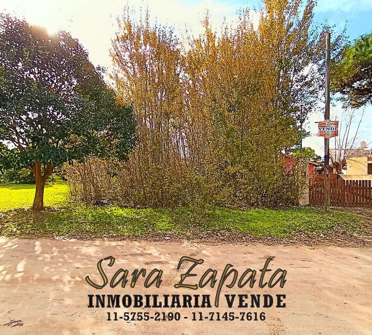 Foto de GRAN LOTE DE TERRENO BALDÍO 20*57,5 SAN CLEMENTE VENDE Sara Zapata, imagen 3